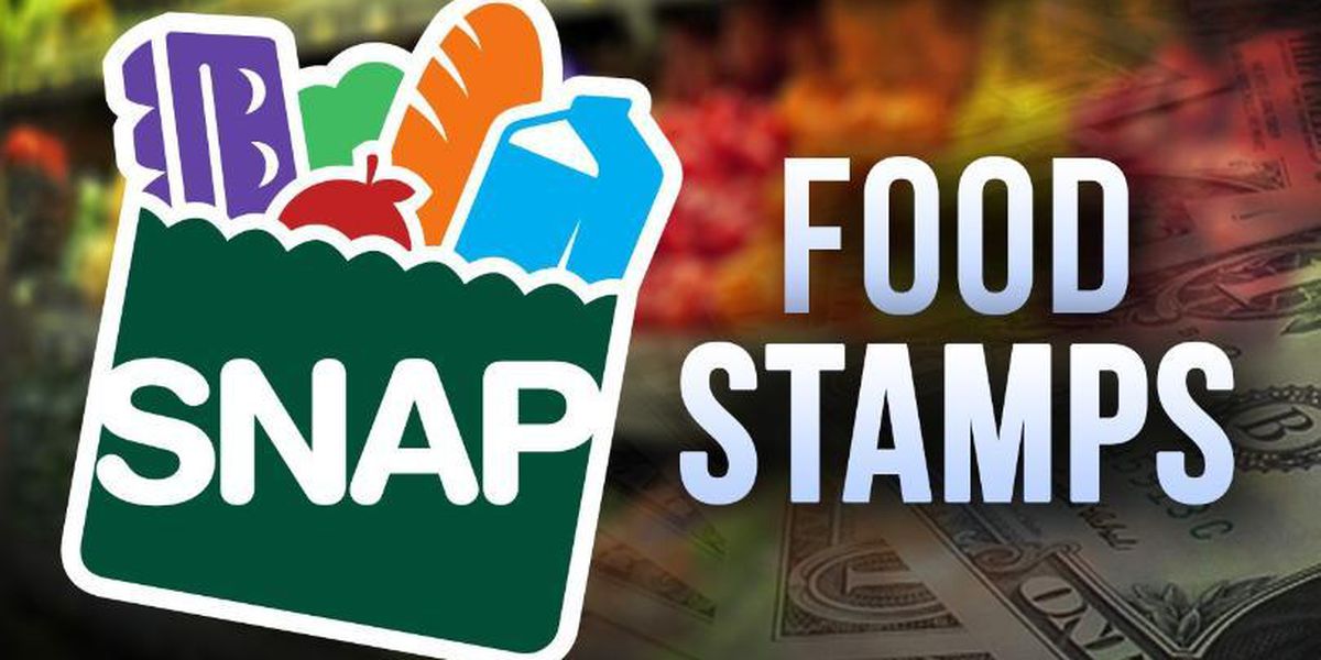 food stamp application tn